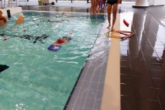 IMG-20251118-WA0050