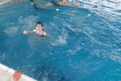 IMG-20241210-WA0013