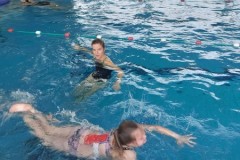 IMG-20241210-WA0017