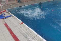 IMG-20241210-WA0021