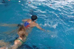 IMG-20241210-WA0022