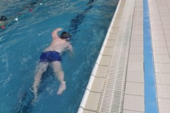 IMG-20241210-WA0043