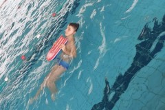 IMG-20241210-WA0045