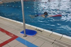 IMG-20241210-WA0053