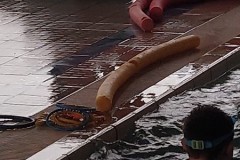 IMG-20241218-WA0008