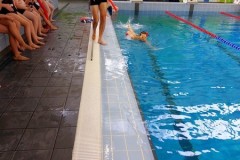 IMG-20251207-WA0026