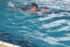 IMG-20241207-WA0016