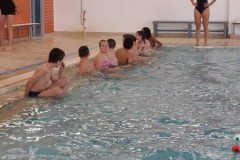 IMG-20241207-WA0113
