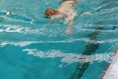IMG-20251209-WA0006