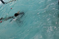 IMG-20251209-WA0022