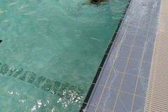 IMG-20251209-WA0027