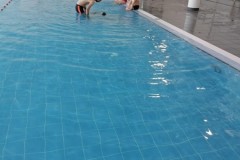 IMG-20251209-WA0031