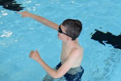 IMG-20260512-WA0033