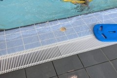 IMG-20250513-WA0036