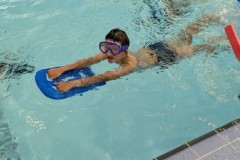 IMG-20250513-WA0050