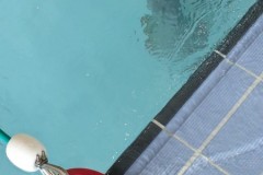 IMG-20260602-WA0036
