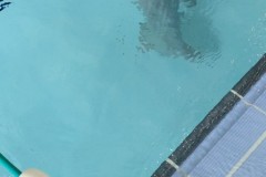 IMG-20260602-WA0038