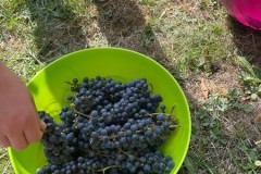 IMG-20260923-WA0003