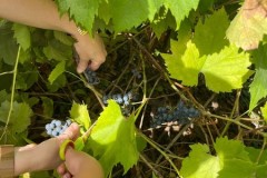 IMG-20260923-WA0004