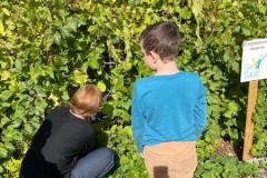 IMG-20260923-WA0006