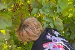 IMG-20260923-WA0010