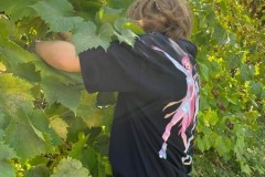 IMG-20260923-WA0014
