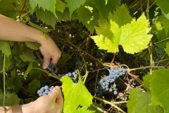 IMG-20260923-WA0017