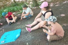 IMG-20260526-WA0013