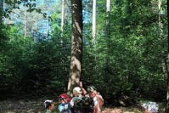 IMG-20260526-WA0016