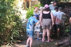 IMG-20260526-WA0028