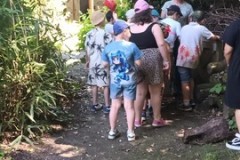 IMG-20260526-WA0034