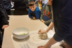 IMG-20240210-WA0012