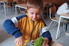 IMG-20250619-WA0498