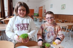 IMG-20250619-WA0502