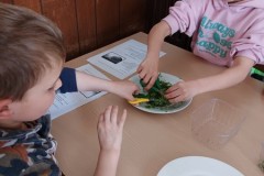 IMG-20260423-WA0105