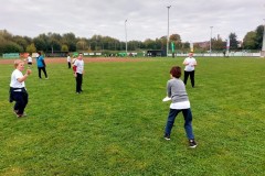 IMG-20251017-WA0229