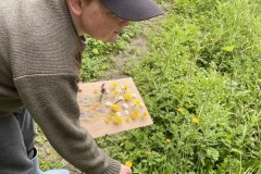 03a9510e-eb23-4c3c-b76d-690fa7d2a1c9