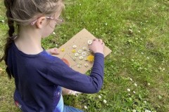 c0325841-6c4a-4d69-8be7-7a8b9042dcdf