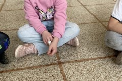 Messenger_creation_5454E1AE-33D9-46C8-9E34-BDEFD79493E4