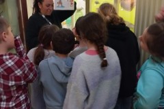 IMG-20260319-WA0155