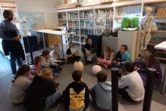 IMG-20260319-WA0157