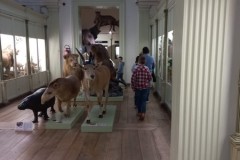 IMG-20260319-WA0160
