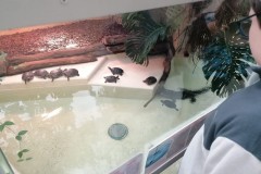 IMG-20251210-WA0013