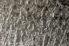 IMG-20250408-WA0028