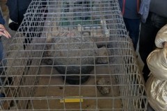 IMG-20250408-WA0036