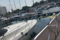IMG-20250619-WA0054
