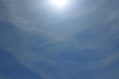 IMG-20250619-WA0062