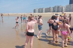 IMG-20250619-WA0087