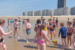 IMG-20250619-WA0088