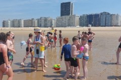 IMG-20250619-WA0089